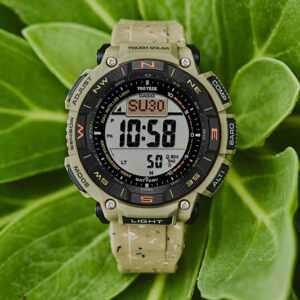 CASIO